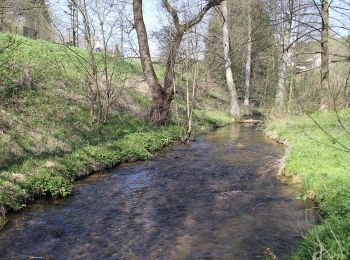 Randonnée A pied Heinrichsthaler Forst - Nordic Walking 3 Heigenbrücken - Photo