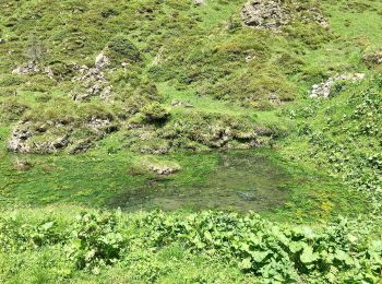 Tour Zu Fuß Muotathal - CH-Dräckloch - nördlich Brunalpelhöchi - Photo