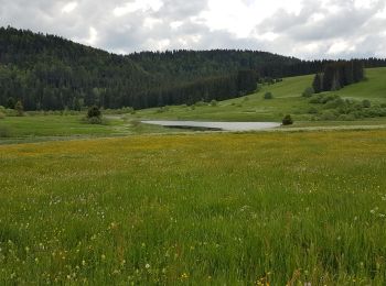 Tour Wandern La Pesse - L'Embossieux-Nerbier - Photo