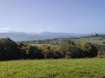 Tocht Stappen Capvern - La Voie Romaine de Capvern - Photo