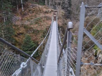 Randonnée Marche Bagnères-de-Luchon - Luchon via Saint Mamet - Photo