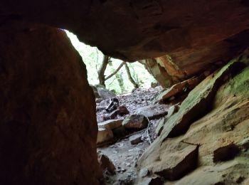 Tour Zu Fuß Weindorf - Pilisborosjenői Kevélyhegyi Tanösvény 1. (Pilisborosjenő - Kevély-nyereg - Pilisborosjenő) - Photo