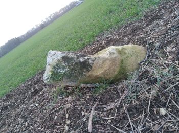 Randonnée Marche Héry - BORNE ZC14 - Les Baudières - Photo