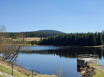 Tocht Te voet Boží Dar - Naučná stezka Boží Dar – Zlatý Kopec - Photo