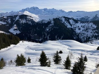 Trail Trail Villard-sur-Doron - Chard du Beurre-Chardons-Covetan(17.5K 600D+) - Photo