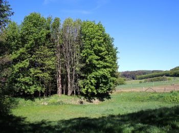 Percorso A piedi Hemer - Rundweg Hemer - Photo