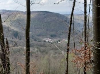 Excursión Senderismo Boyeux-Saint-Jérôme - Le Ravaclet - Les Balmettes - Photo