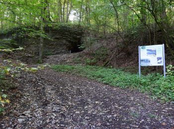 Tocht Te voet Dörzbach - Pfad der Stille (Dörzbach) - Photo