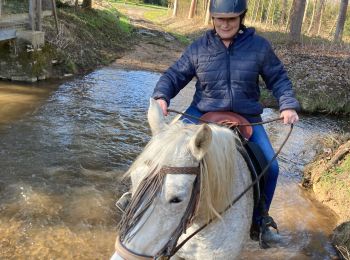 Trail Horseback riding Neuviller-lès-Badonviller - Beliana Vispa repérage rando du 6 mars 22 - Photo