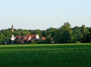 Tour Zu Fuß Losser - Wandelnetwerk Twente - groene route - Photo