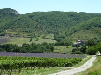 Excursión Senderismo Valvignères - Intras 6km - Photo