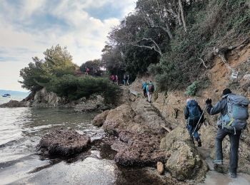 Trail Walking Hyères - Tour de la Presqu'île de Giens-05-04-23 - Photo