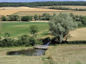 Excursión Senderismo Vandenesse-en-Auxois - panthiers  - Photo