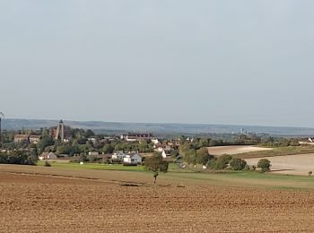 Percorso Marcia Champigny - Champigny 231011 - Photo