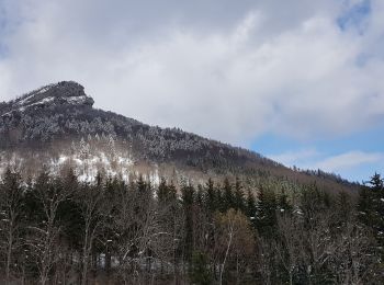 Tocht Stappen Le Gua - L'Eperrimont  ou l'Indien en mode hivernal - Photo