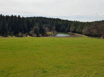 Randonnée Marche Sainte-Sigolène - 2019 04 17 autour de Ste Sigolène - Photo