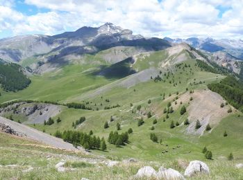 Tocht Stappen Roubion - Vignols et Mt Gravieres par Roubion - Photo