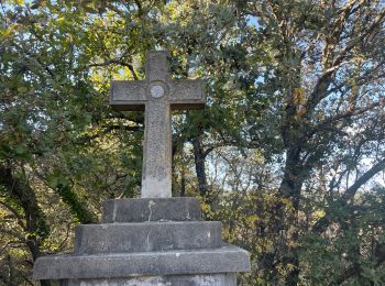 Randonnée Marche Carnas - Le bois de Feuillade - Photo