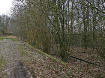 Randonnée A pied Hünxe - Peddenberg Rundweg A6 - Photo