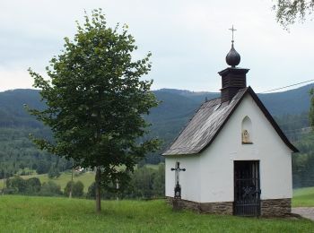 Tour Zu Fuß Osserhammer - CZ-6690 - Photo