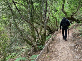 Trail Walking Lacanau - Zot/fifi etang de coureau - Photo