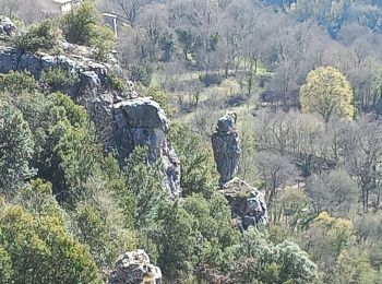 Randonnée Marche Courmes - Courmes village Negre - Photo