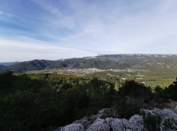 Tocht Stappen Le Castellet - Les crêtes de Cuges les Pins - Photo