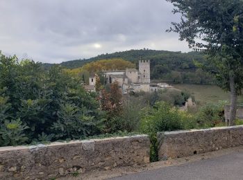 Excursión Senderismo Esparron-de-Verdon - Le lac d'Esparon et le site de la salle à manger - Photo