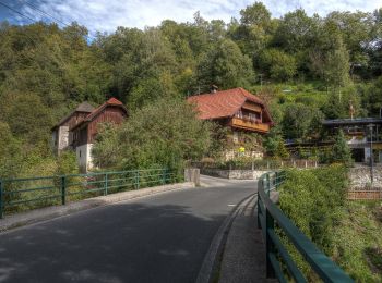 Tocht Te voet Gmünd in Kärnten - Rundwanderweg 6 Alte Römerstraße - Lieserweg - Gmünd - Photo