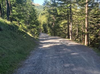 Tocht Stappen Risoul - Crêtes de Penon - Photo