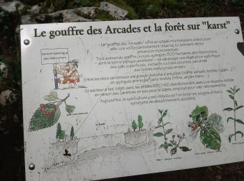 Tour Wandern Besain - besain 39.2019 06 06 - Photo