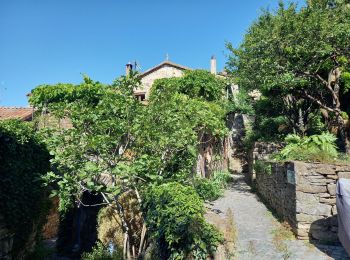 Excursión Senderismo Les Vans - Vallée de la Gagniére  - Photo