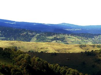 Tocht Te voet  - Schitul Poșaga - La Măteoaie - Șaua La Răscruce - Photo