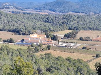 Tocht Stappen Solliès-Pont - la croix de la navarre - Photo