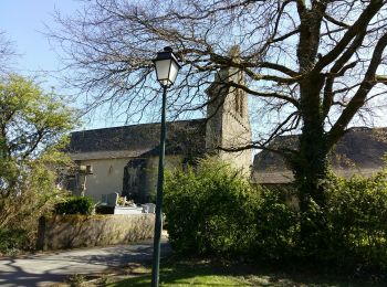 Excursión Senderismo Sévignacq - SEVIGNACQ M1 le sentier des moulins - Photo