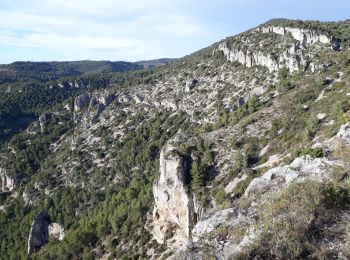 Randonnée Marche Fontaine-de-Vaucluse - Fontaine de Vaucluse par l'aven de Valescure, les crêtes et le chateau - Photo