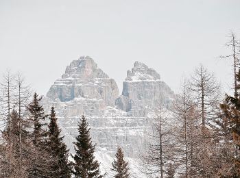 Randonnée A pied Auronzo di Cadore - IT-120B - Photo