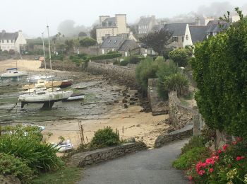 Trail Walking Île-de-Batz - Ile de Batz-13092019 - Photo