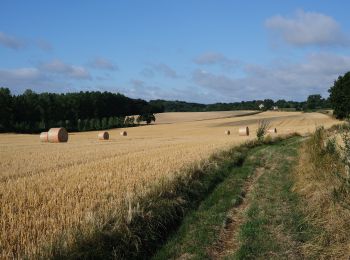 Randonnée Marche Jodoigne - SityTrail - boucle Jodoigne 26km - Photo