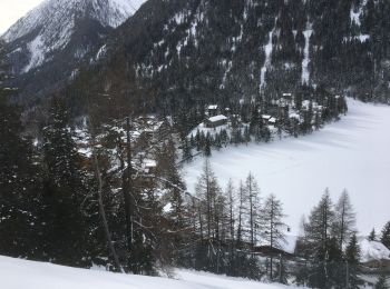 Percorso Racchette da neve Orsières - Champex Lac - Belvédère - Champex Lac - Photo