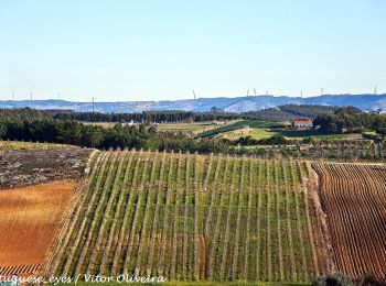 Percorso A piedi A dos Cunhados e Maceira - Pelos Caminhos da Batalha do Vimeiro - Photo