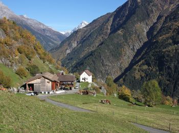 Percorso A piedi Gurtnellen - Arnisee - Gurtnellen - Photo