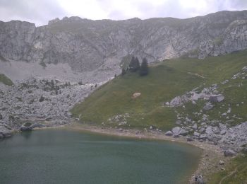 Randonnée Marche La Chapelle-d'Abondance - lac de darbon - Photo