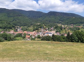 Tour Wandern Steige - Steige - Au Blanc Noyer - Photo