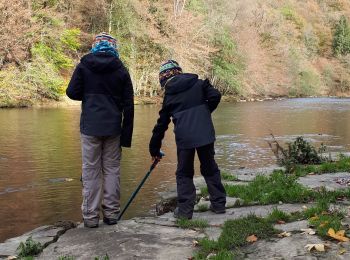 Tour Wandern Florenville - Le Castelain - Photo