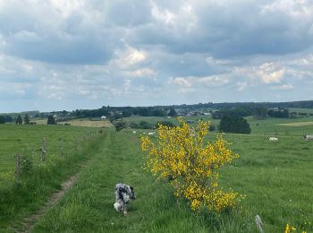 Trail Walking Neufchâteau - Tronquoy - Respelt - Photo