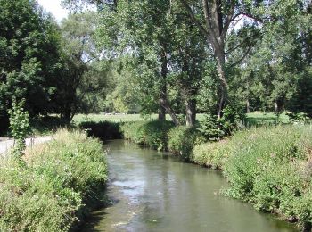 Randonnée Marche Grez-Doiceau - RL-GG-21 - Pécrot - Genval - 2025-03-15 - Photo