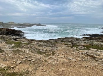 Trail Walking Quiberon - Pointe de la presqu’île de Quiberon - Photo