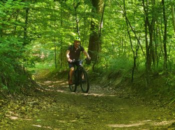 Tour Elektrofahrrad Börsch - sortie vtt 1406022 boersch - Photo