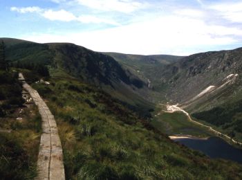 Tocht Te voet The Municipal District of Wicklow - Spinc and Glenealo Valley - Photo